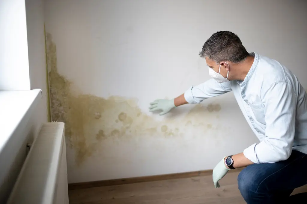 Traitement des surfaces poreuses